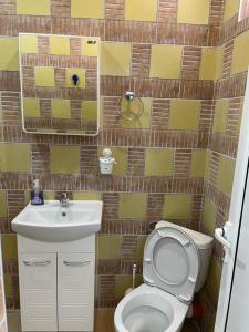 a bathroom with a toilet and a sink at Дом за Гости Осогово in Kyustendil