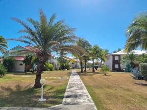 a walkway in front of a house with palm trees at Crystal Beach, vue mer, accès direct plage et piscine, clim in Sèze