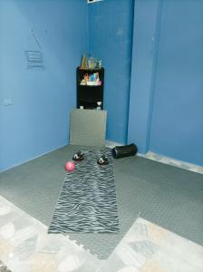 una habitación con una bola de bolos en el suelo en Excellent Pleasantville Apartment en San Fernando