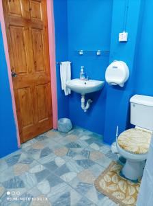 a blue bathroom with a toilet and a sink at Excellent Pleasantville Apartment in San Fernando