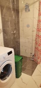 特拉夫尼克的住宿－Sweet Dreams RD，带绿色篮子的浴室内的洗衣机