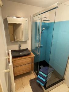 een badkamer met een glazen douche en een wastafel bij Apt. entier 2 chambres Eurexpo garage in Bron