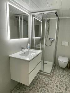 La salle de bains est pourvue d'un lavabo, d'une douche et de toilettes. dans l'établissement Familienferien im Chalet Bärgli Kandersteg, à Kandersteg