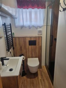 een badkamer met een toilet en een wastafel bij Domki na Zagroniu in Koninki
