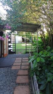 Zahrada ubytování 33 on Smuts Selborne + 10 fotografií