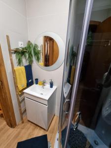 uma casa de banho com um lavatório, um chuveiro e um espelho. em Serra da Estrela Guest House na Covilhã