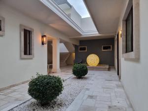 a hallway with plants and a skylight in a building at Casa Escamela Suites privadas in Orizaba