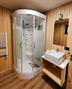 uma casa de banho com um chuveiro e um lavatório. em Departamento dos ambientes, muy cálido y luminoso, en el centro de SMA. 17V5 em San Martín de los Andes