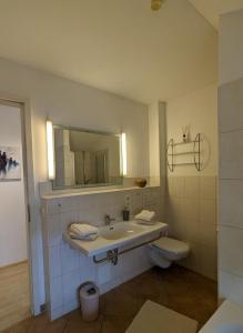 a bathroom with a sink and a toilet and a mirror at Ferienhaus Ketterer Hinterzarten in Hinterzarten