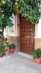 une porte brune avec quelques plantes devant elle dans l'établissement Apartamentos Virgen de Villaverde, à Ardales