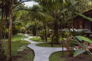 Κήπος έξω από το Mawamba Lodge