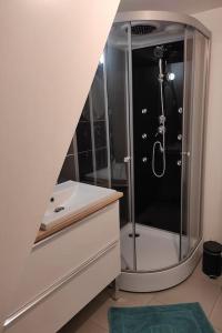 La salle de bains est pourvue d'une douche et d'un lavabo. dans l'établissement Gîte Mont Saint Michel Beauvoir, à Beauvoir