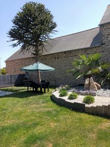 Jardin de l'établissement Gîte Mont Saint Michel Beauvoir