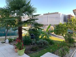 un jardin avec des palmiers et des plantes devant un bâtiment dans l'établissement La maison parisienne & jardin, à Argenteuil