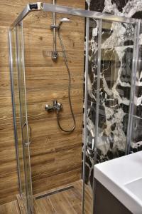 a shower with a glass door in a bathroom at WILD BEAUTY Apartment-Modern mountain 2 in Kolašin