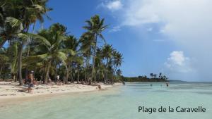 a beach with palm trees and people in the water at Studio TY SOLEY in Saint-François +6 photos