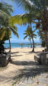 a sandy beach with palm trees and the ocean at Studio TY SOLEY in Saint-François