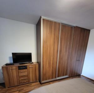 Televízia a/alebo spoločenská miestnosť v ubytovaní Apartmán Lipno 50