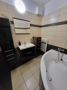Kúpeľňa v ubytovaní Apartmán Lipno 50