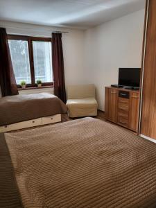 Posteľ alebo postele v izbe v ubytovaní Apartmán Lipno 50