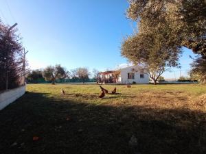 Zahrada ubytování Casa de Campo Los Manueles Ideal Perros Pet Friendly