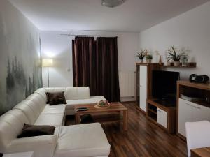 Televízia a/alebo spoločenská miestnosť v ubytovaní Apartmán Lipno 50