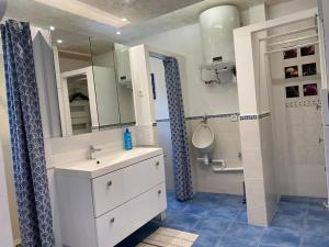 uma casa de banho com um lavatório e um espelho em Charmant appartement - centre Cité Plantagenet!!! em Le Mans