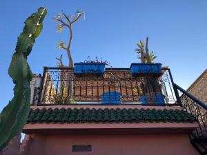 two potted plants on the top of a building at riad rose eternelle in Marrakesh