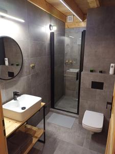 a bathroom with a shower and a sink and a toilet at Maraśka Holiday House in Kamienna Góra