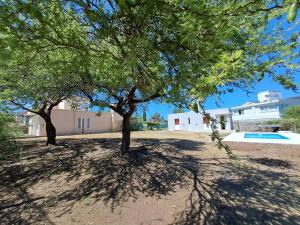 a tree in the middle of a yard at CABAÑA LA HERRADURA 14 in San Roque