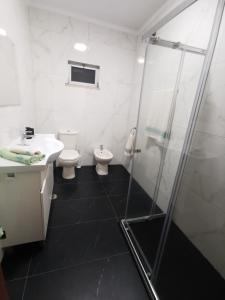 a bathroom with a shower and a sink and a toilet at Casa do Paço in Almeirim