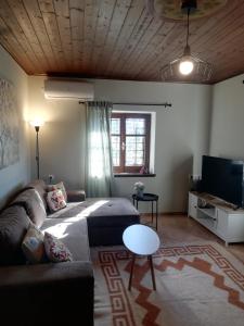 a living room with a couch and a tv at Endless View Country House in Makrinitsa