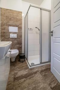 a bathroom with a shower and a toilet and a sink at Duplex apartmán Pálava in Dolní Dunajovice