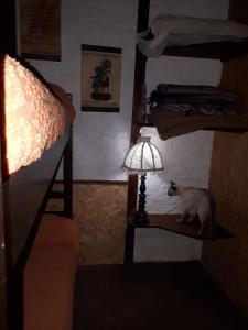 un gato sentado en un estante junto a una cama en Complejito El Pichon, en La Paloma
