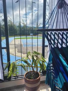 a plant in a pot in front of a window at CASA DOÑA BLANCA in Guaduas