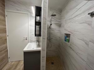 y baño blanco con lavabo y ducha. en Studio cosy rez-de-chaussée, en Foix