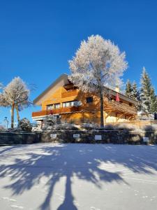 uma casa com uma árvore na neve em STUDIO LA TOURNETTE em Montmin