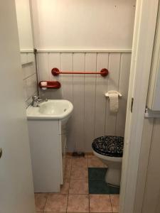 een kleine badkamer met een toilet en een wastafel bij Comfortable 3 bedroom Apartment on one floor. in Sandefjord