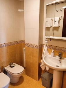 a bathroom with a toilet and a sink and a mirror at LA ERIA II, muy luminoso,WIFI, garaje,15 a pie al centro in Oviedo