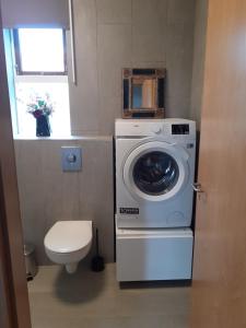 ein Badezimmer mit einer Waschmaschine und einem WC in der Unterkunft Bifröst in Bifrost