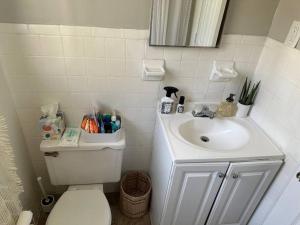 a bathroom with a white sink and a toilet at Atlanta on the Nile in Atlanta