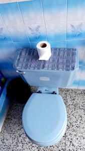 a blue toilet with a bowl on top of it at Hotel Maya America in Panajachel