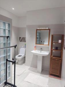 een badkamer met een wastafel, een toilet en een spiegel bij Azur logement in Fort-de-France