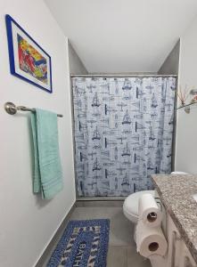 聖薩爾瓦多的住宿－Avitat Joy Cozy&Homy 2B Flat Private Wifi Pool Gym，带淋浴帘和卫生间的浴室