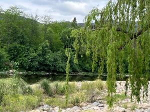 a tree hanging over a body of water at Casa de Tati en Cosquín Córdoba in Cosquín