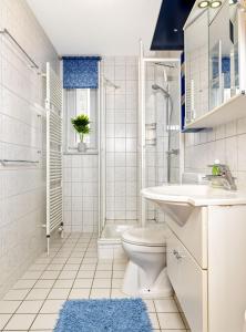 a bathroom with a toilet and a sink and a shower at Haus Seeblick Maritim in Am Schwarzen Busch