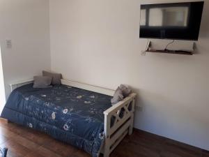 1 dormitorio con 1 cama y TV de pantalla plana en alquilerpordiviedma en Viedma