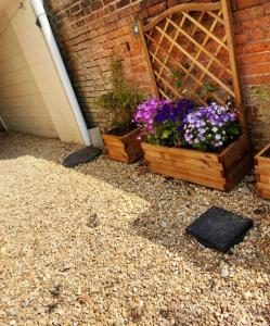 a garden with flowers in a wooden box at 1 bedroom modern duplex in Southampton
