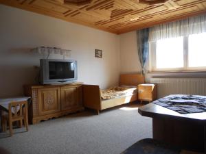 Habitación con TV, cama y ventana. en Ferienwohnungen/Holiday Apartments Lederer, en Reisach