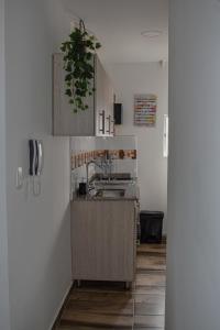 eine kleine Küche mit einer Spüle und einer Theke in der Unterkunft Acogedor Apartamento, excelente ubicación. Pereira in Pereira